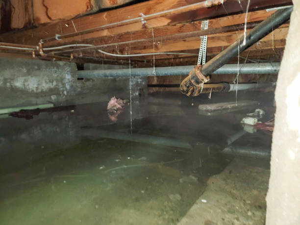 Best Water damage restoration near me  in Erwinville, LA