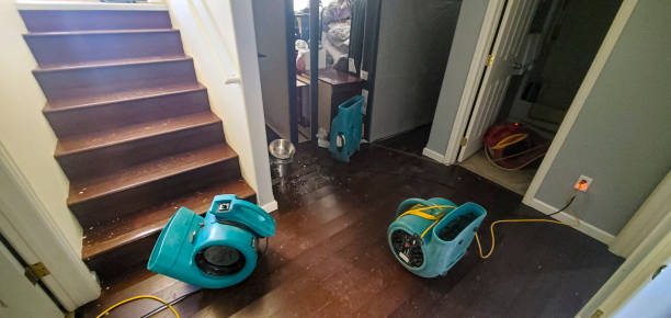 Best Local water damage restoration  in Erwinville, LA