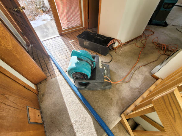 Best Water damage restoration near me  in Erwinville, LA