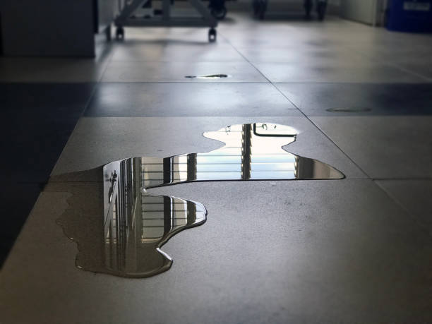 Best Professional water damage repair  in Erwinville, LA