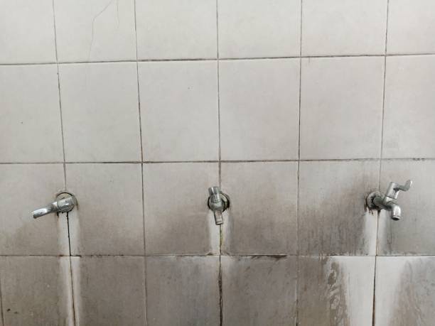 Best Flood restoration services  in Erwinville, LA