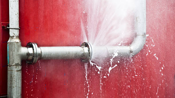 Best Basement water damage restoration  in Erwinville, LA